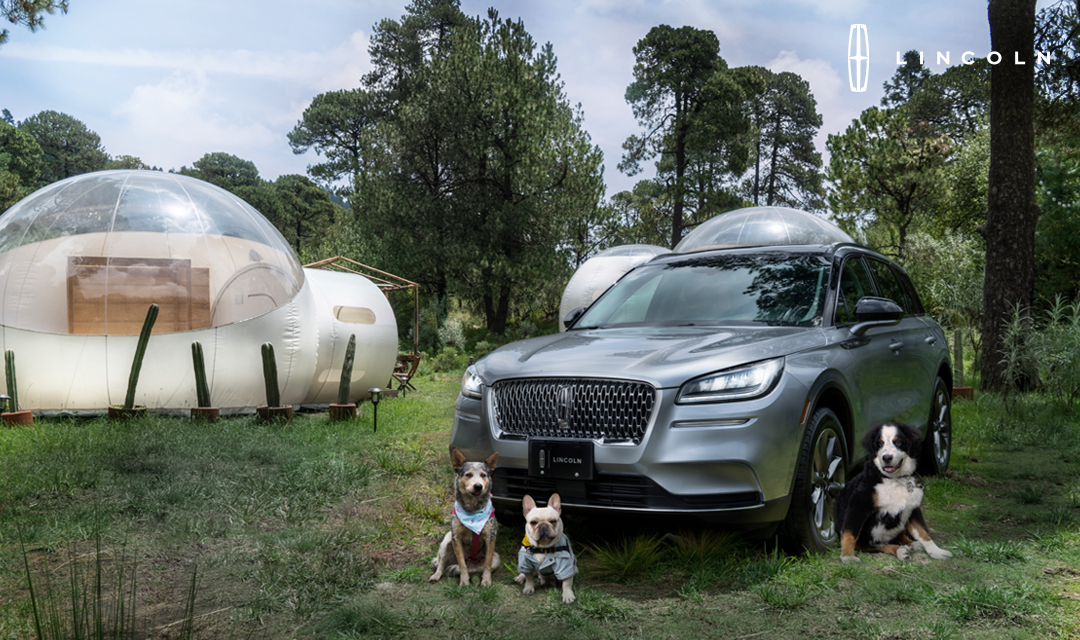 LincolnMexico's tweet photo. Hay aventuras que no puedes vivir sin tus mejores amigos, por eso en Lincoln nos fuimos de roadtrip a @AlpinoBubble disfrutando de la una experiencia única de confort y sofisticación en #LincolnCorsair. ¡Feliz #DíaDelPerro! #EstoEsLincoln #LincolnMéxico #LincolnPets https://t.co/idhoTMDK3O