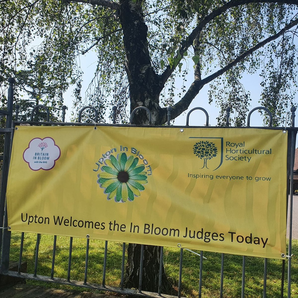 UptonInBloom's tweet photo. So proud of how the town centre looks today. The judges are in for a treat! RHS - @RHSBloom @Bournemouthecho #growingforgold https://t.co/lTApADP5If