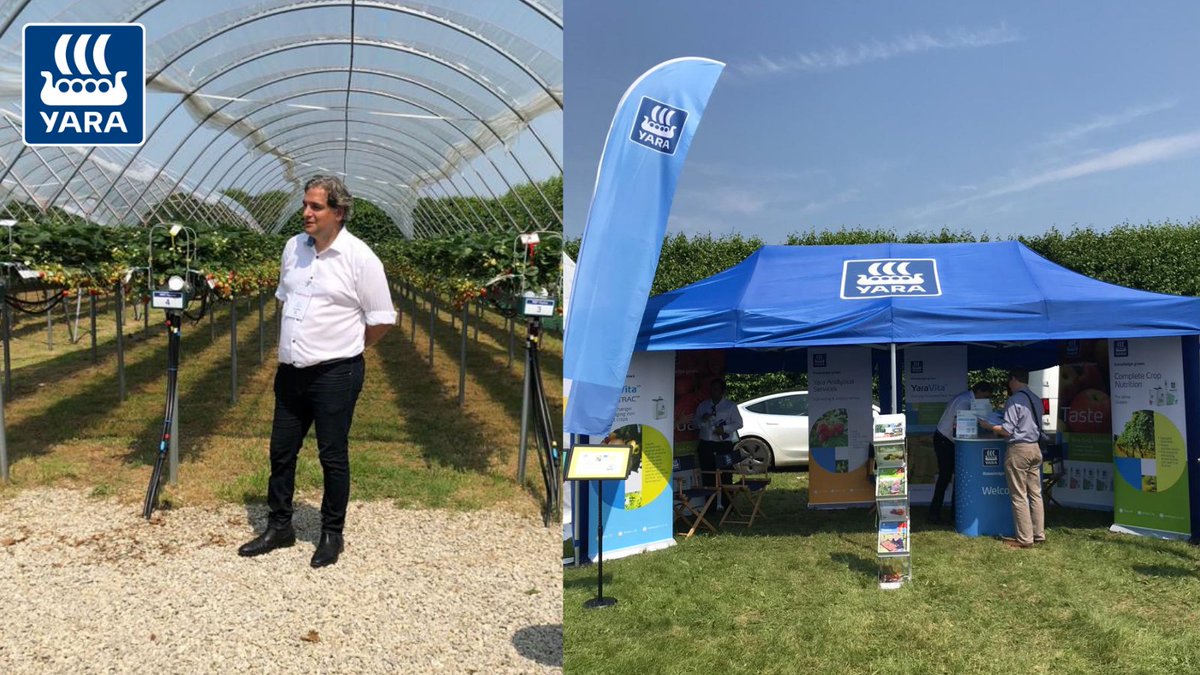 Yara_UK's tweet image. Our Fruit &amp;amp; Horticulture Specialist, @Sir_Blueberry, speaking about crop nutrition at this years @FruitFocus! 🍏🍓🍇

If you missed his talk, pop by the Yara stand to have a chat. 

#GrowTheFuture #KnowledgeGrows #Yara #Fruit #FF21 #britishfruit #cropnutrition