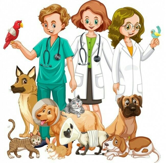 Felicidades a los amigos veterinarios en su día 🏅
