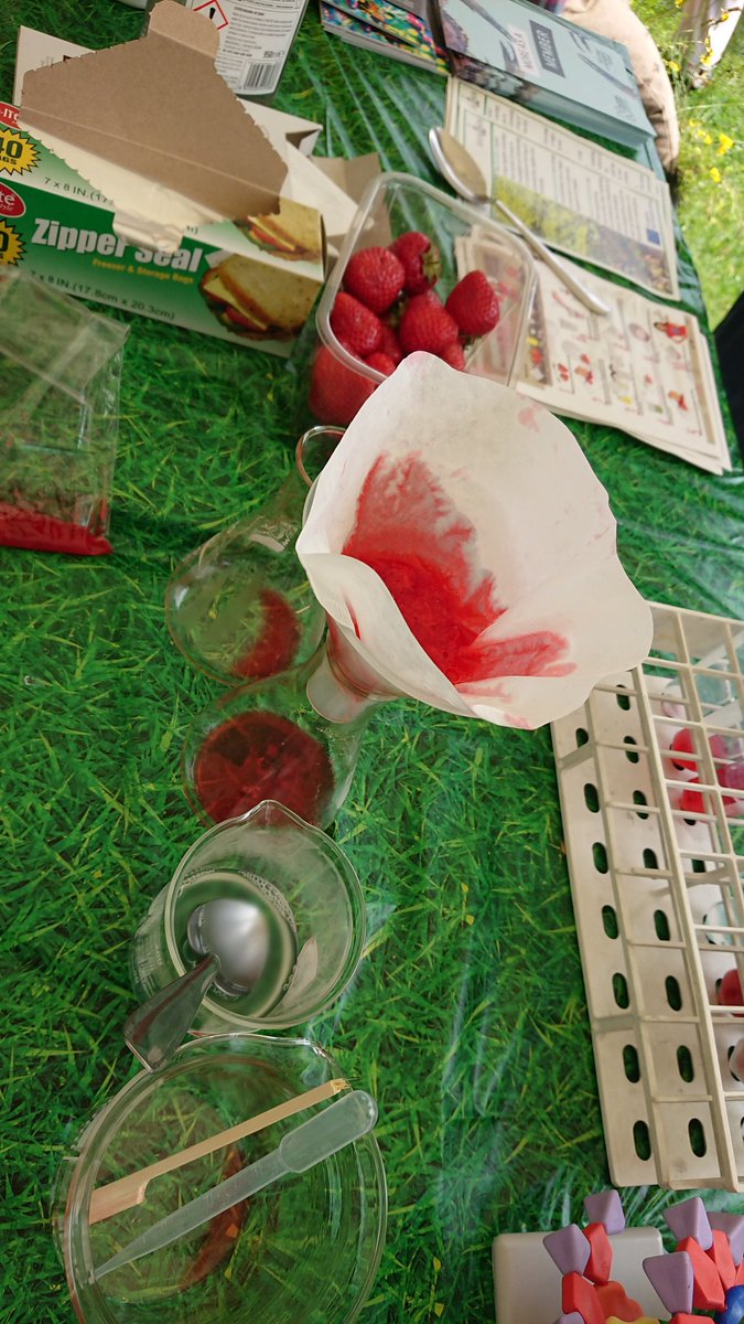 Team members from <a href="/NHM_Science/">Science at the Natural History Museum</a> &amp; @NIABEMR are at #RHSTattonPark <a href="/tattonpark/">Laura Croke</a> this week showcasing <a href="/excalibur_h2020/">EXCALIBUR</a>! We have #strawberries DNA <a href="/brickopore/">Blocksford Brickopore Technologies</a> woodlice, beetles and more!