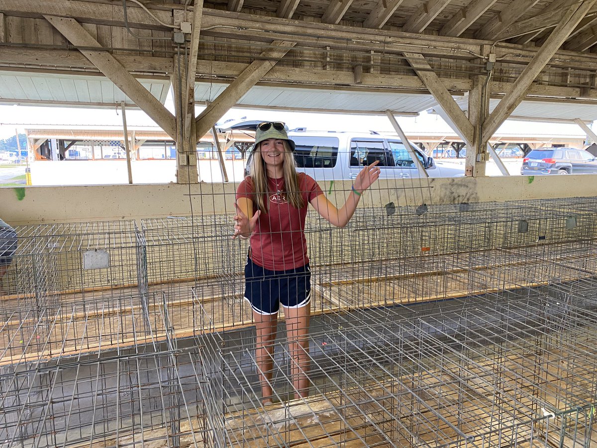 AmyLookHenry's tweet photo. We have some of the hardest working FFA Members in the county! @GIAcademy @FFA_GISA putting in the hard work to help make this Clark County Fair a success! Getting ready for mooooove- in day!!!  See y’all there! https://t.co/6AaxLAVm2x