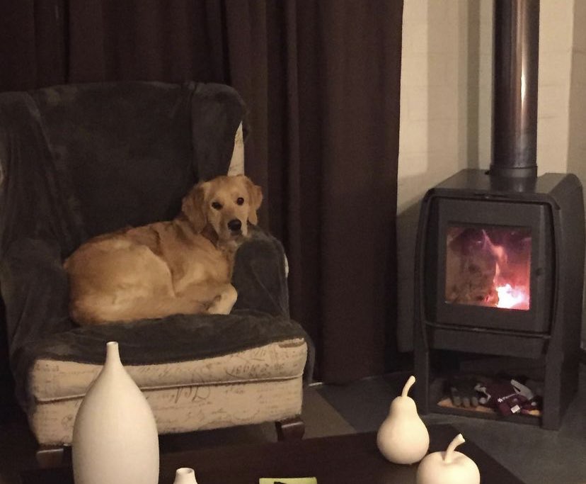 rigpemo's tweet image. #MuchoGustoMega feliz día para mi Liz, abrigadita por acá en el sur