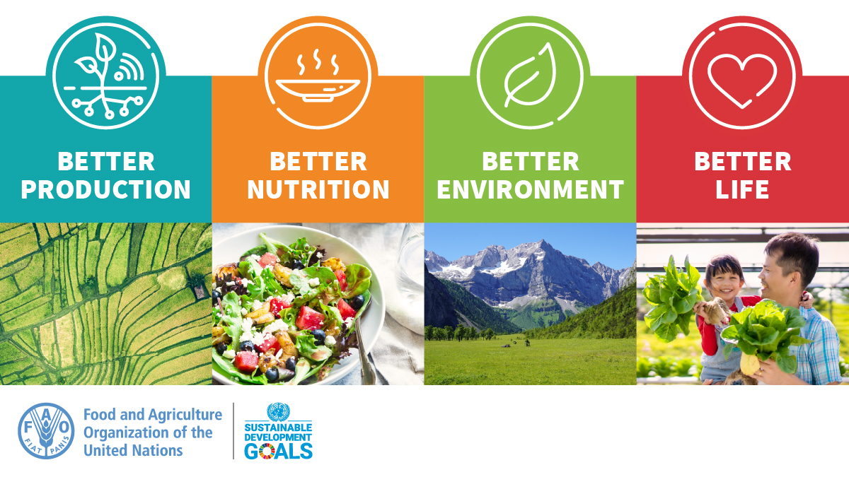 FAOKnowledge's tweet image. The #4Betters are at the heart of @FAO's work.

A sustainable &amp;amp; food secure world for all is possible.

We need MORE efficient, inclusive, resilient &amp;amp; sustainable agri-#FoodSystems to future-proof our planet 👉bit.ly/3BpUI7M

#Agenda2030