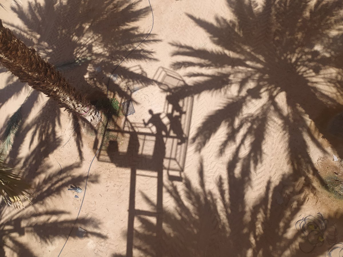 Gas exchange measurements of some plants can be a little bit tricky