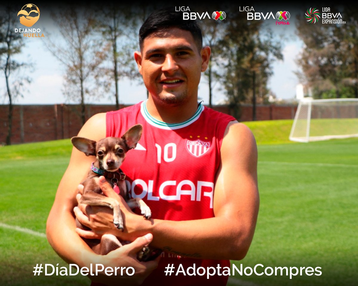 LigaBBVAMX's tweet photo. Mándanos tu foto y comparte tu alegría como Maxi Salas y Maja de @ClubNecaxa en este  #DíaDelPerro 🐶⚽️

 #AdoptaNoCompres https://t.co/0tWCh0cjEb