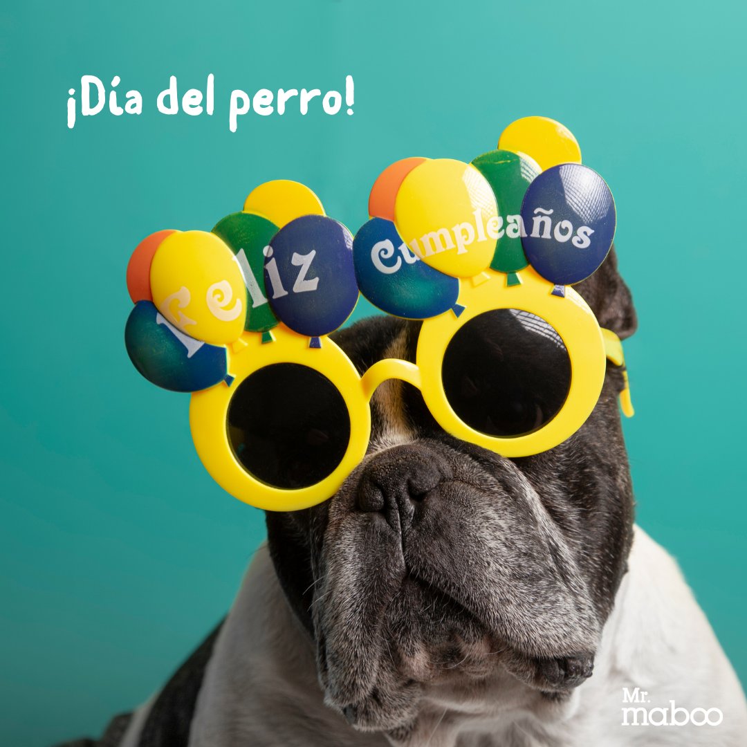 MabooMr's tweet photo. ¡Hoy es un día muy especial!⭐Nuestros mejores amigos celebran hoy su día: ¡el día del perro!🐶🐶🐶

➡️¿Tienes un perrito o quieres tener uno? ¡Cuéntanoslo! 

✅Nuestros amigos perrunos requieren un compromiso por tu parte, a cambio de eso de darán su amistad de por vida❣️ https://t.co/1G8ELHQRIQ