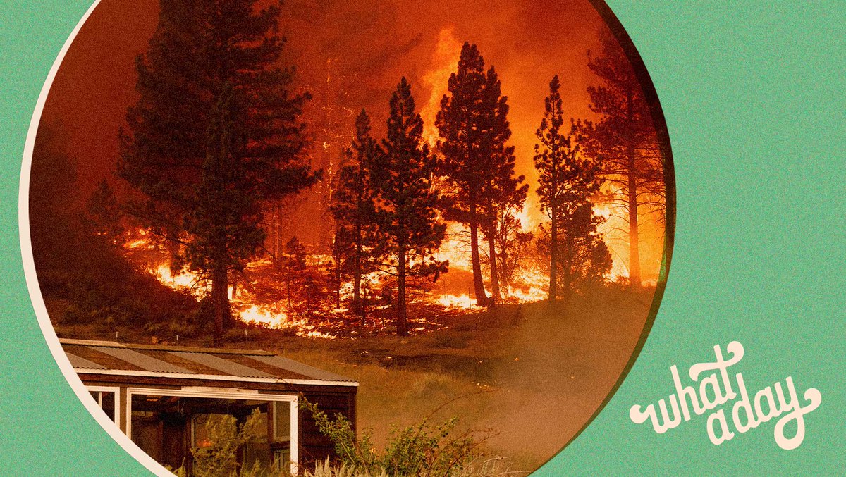 Wildfires are casting hazy skies across the country, we talked climate change with @blkahn, and some counties nationwide are recommending that even vaccinated people keep their masks on when in indoor public spaces. #WhatADay “Burn After Heating” out now: apple.co/whataday