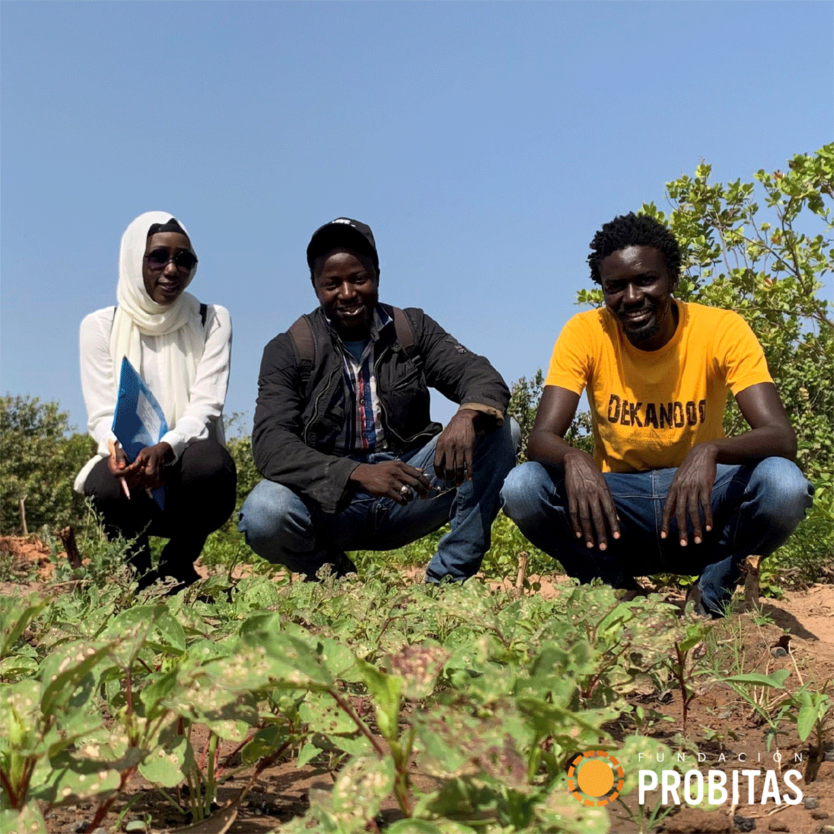 FProbitas's tweet photo. Hoy os presentamos el proyecto Yakaar que aporta una mirada innovadora al proceso migratorio y acompaña a personas senegalesas en España que desean retornar voluntariamente a su país para que puedan hacerlo y desarrollar allí un proyecto emprendedor https://t.co/KdCm4SEQar https://t.co/HQ7VXW22Ge