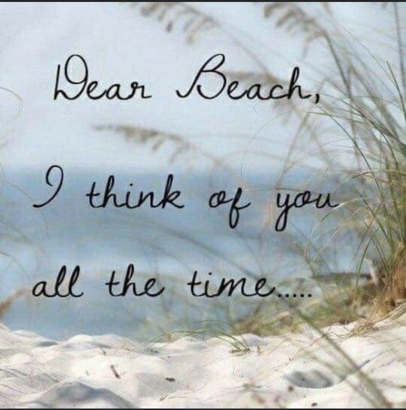 mpageteach's tweet photo. Especially now that I’m sitting in Professional Development all week… 🥺 #AlmostTimeForSchool https://t.co/inmkWo295N