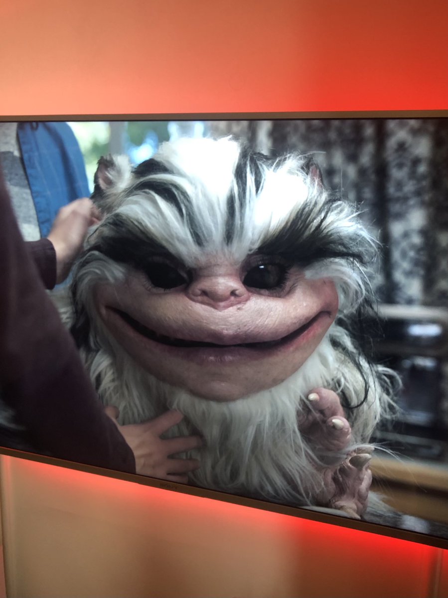 SteviesBrainRot's tweet photo. What the ACTUAL fuck?? #CrittersAttack https://t.co/IBQ84nA520