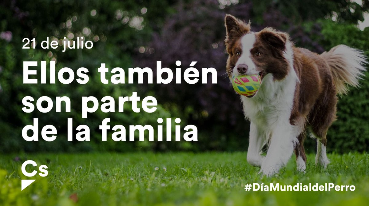 Ciudadanos Mérida tweet media