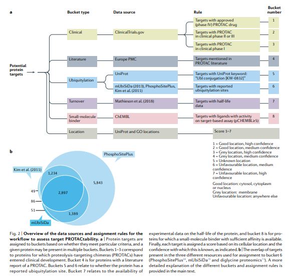 The PROTACtable genome go.nature.com/3wUIroz This article presents a systematic approach using a series of criteria based on public resources to support decision-making on whether a given target may be amenable to targeted protein degradation with a PROTAC