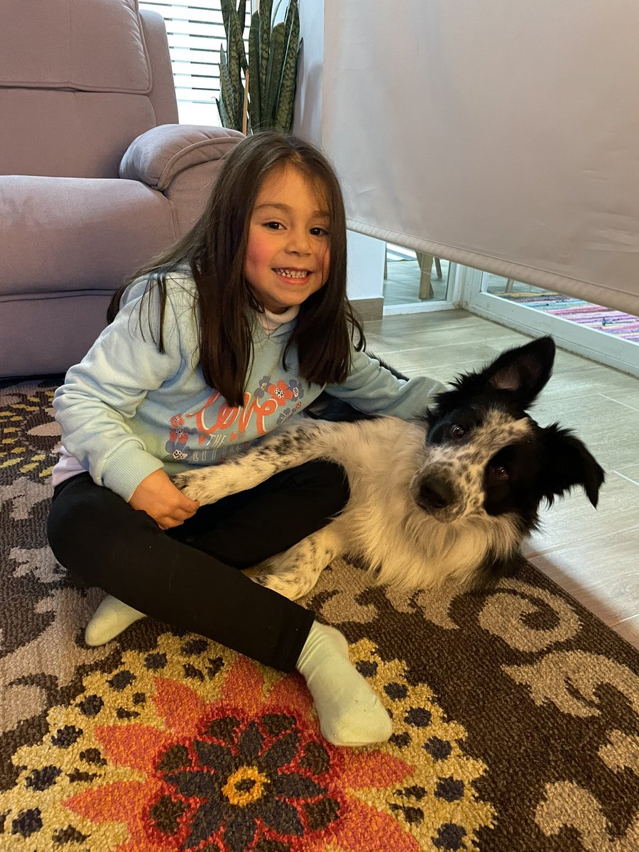 victorialmendra's tweet photo. #MuchoGustoMega @MuchoGustoMEGA feliz día mi querido Jack!!..con su amada Ignacia  #FelizDiaDelPerro https://t.co/yNULZDCrPF