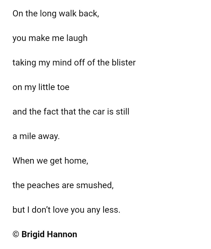 Brigid Hannon tweet media