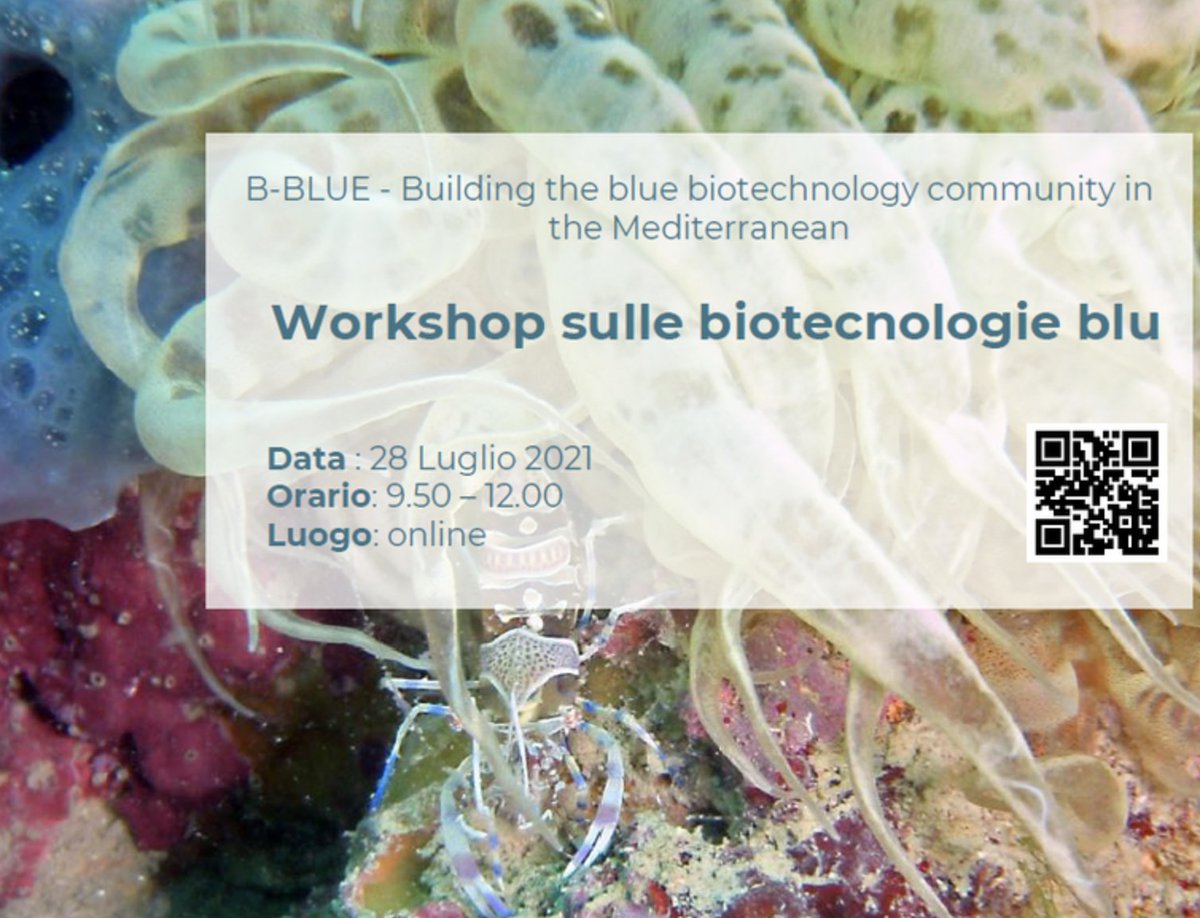 ENEA (@eneaofficial) on Twitter photo #SaveTheDate Mercoledì 28 luglio alle 10 si terrà l'evento sulle biotecnologie blu nell’ambito del progetto #B-Blue.Per @ENEA parteciperà Cristian Chiavetta, coordinatore del progetto. enea.it/it/seguici/eve… <a href="/CNRsocial_/">CNR Consiglio Nazionale delle Ricerche</a> <a href="/RegionePuglia/">RegionePuglia</a> #BBlue #MadeinMED <a href="/Italbiotec/">Consorzio Italbiotec</a> <a href="/Bio4Dreams/">Bio4Dreams</a> #SaveTheDate Mercoledì 28 luglio alle 10 si terrà l'evento sulle biotecnologie blu nell’ambito del progetto #B-Blue.Per @ENEA parteciperà Cristian Chiavetta, coordinatore del progetto. enea.it/it/seguici/eve… <a href="/CNRsocial_/">CNR Consiglio Nazionale delle Ricerche</a> <a href="/RegionePuglia/">RegionePuglia</a> #BBlue #MadeinMED <a href="/Italbiotec/">Consorzio Italbiotec</a> <a href="/Bio4Dreams/">Bio4Dreams</a>