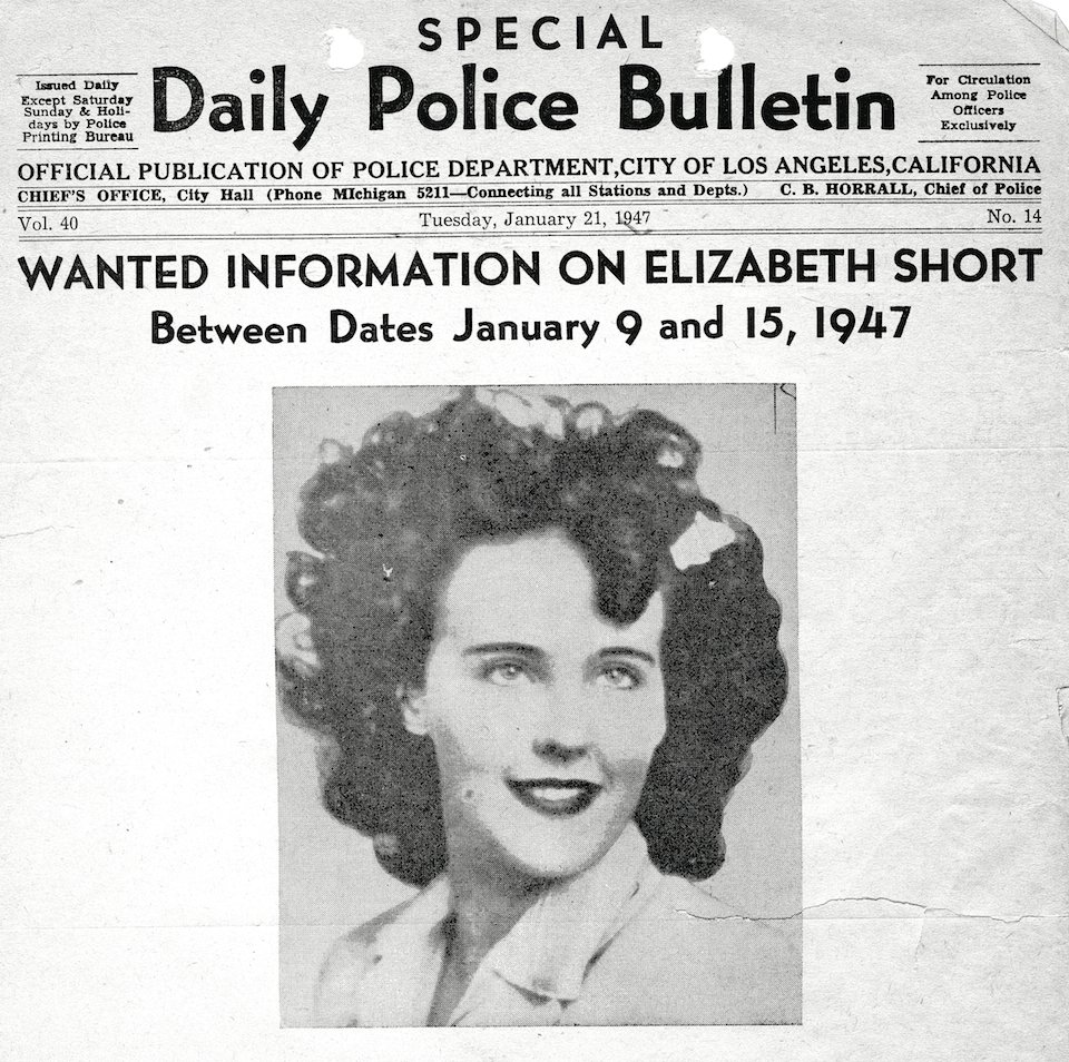daintydames tweet media