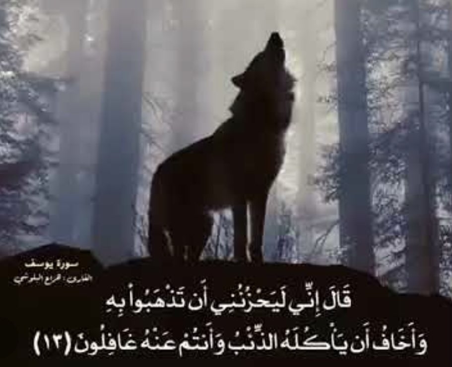" وَأَخَافُ أَنْ يَأْكُلَهُ الذِّئْبُ " 

إن الإنسان إذا ظن سوءاً بإنسان، فلا يصلح أن يلقنه حجة لأنه يستخدمها عليه، ولذلك يعقوب لما قال(وأخاف أن يأكله الذئب) هو لقن أبناءه حجه استعملوها بعد ذلك.

— محمد المنجد