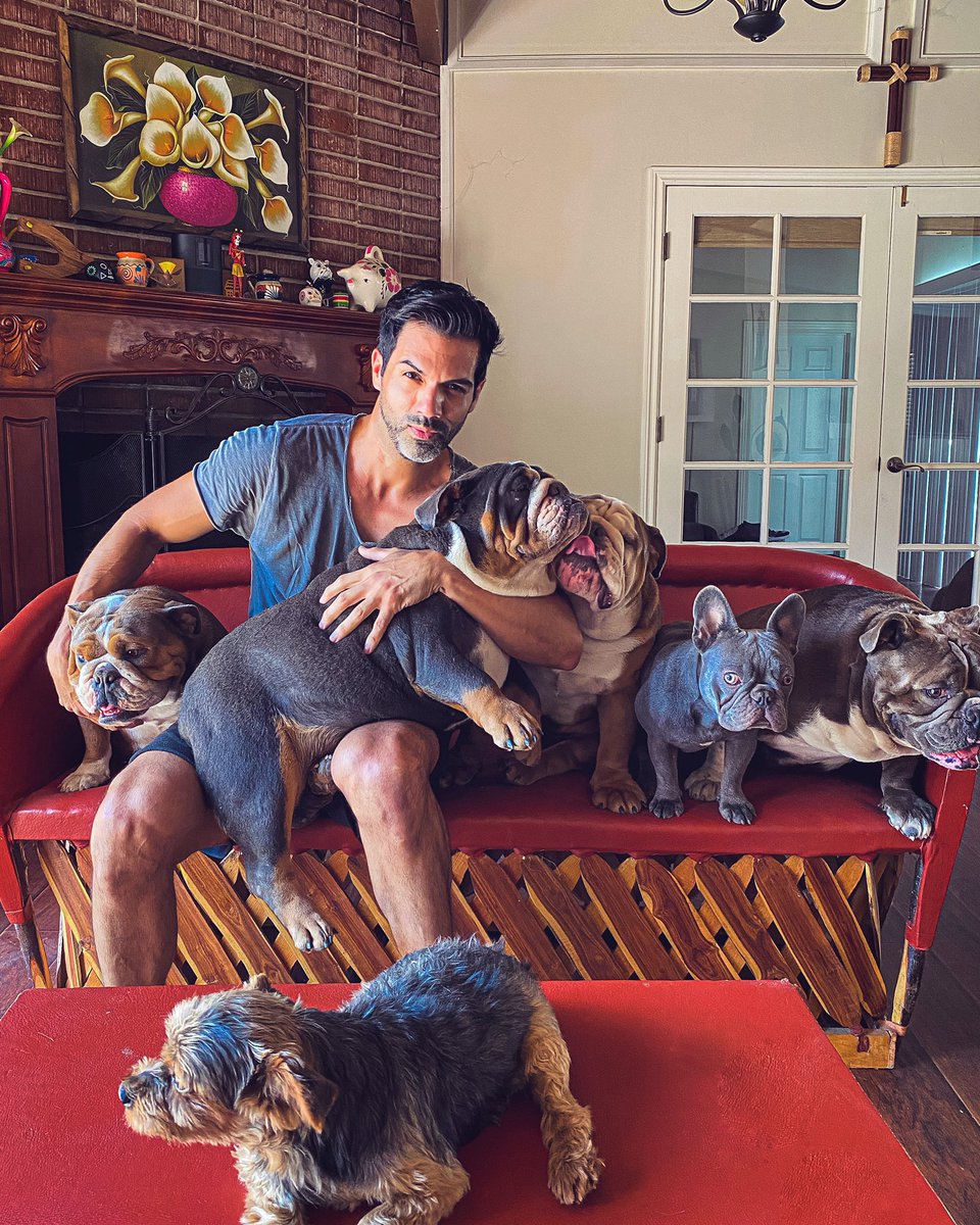 KevenRamirez's tweet photo. Hay palabras que nos cambian la vida, pero hay ladridos que nos cambian el alma.

¡Feliz Día del Perro! 
🐶🐶🐶🐶🐶🐶 https://t.co/H3dJ3axjJn