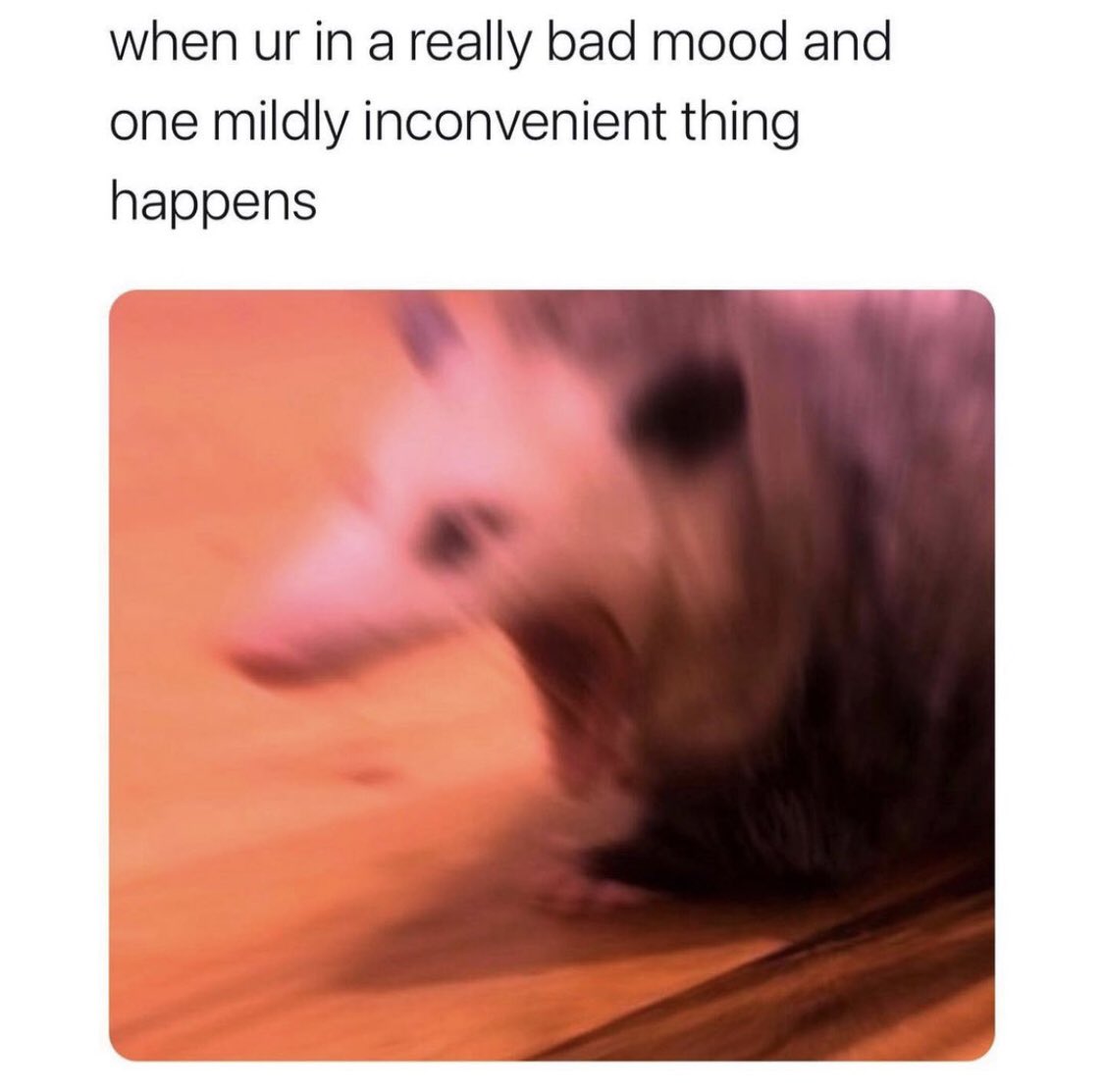 introvertsmemes's tweet photo. Me https://t.co/o0UJX61vOP