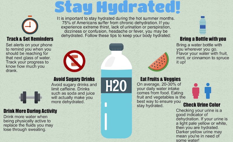 Mastering Summer Hydration: Debunking Myths and Essential Tips - CNET