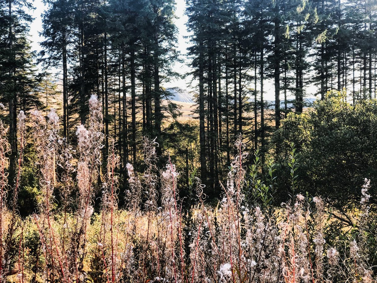 Kelly & Adam | The Wilder Route tweet media