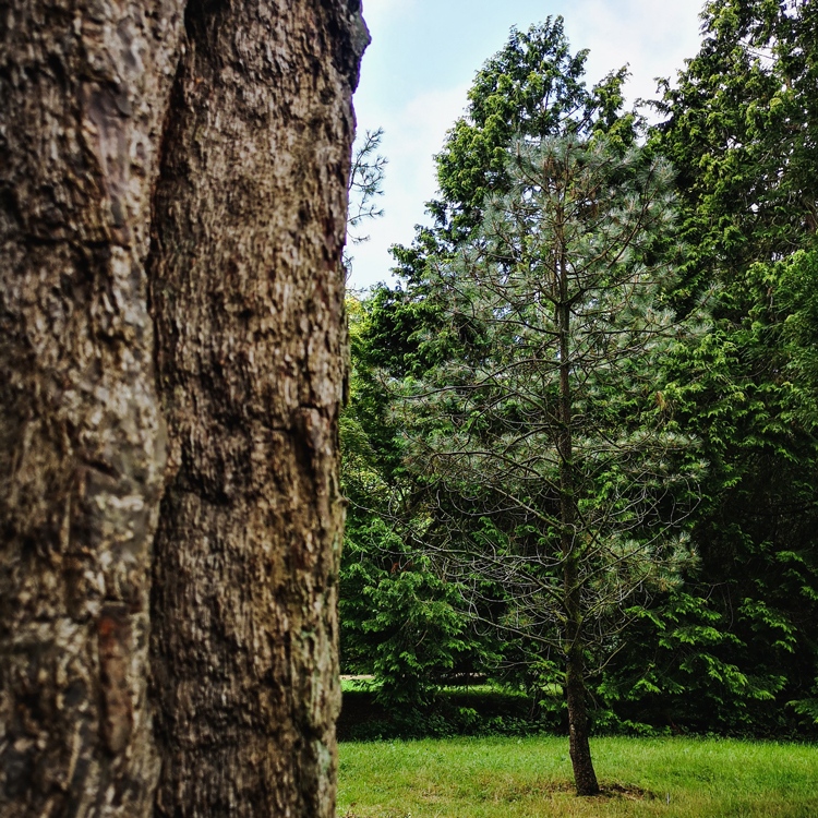 Kelly & Adam | The Wilder Route tweet media