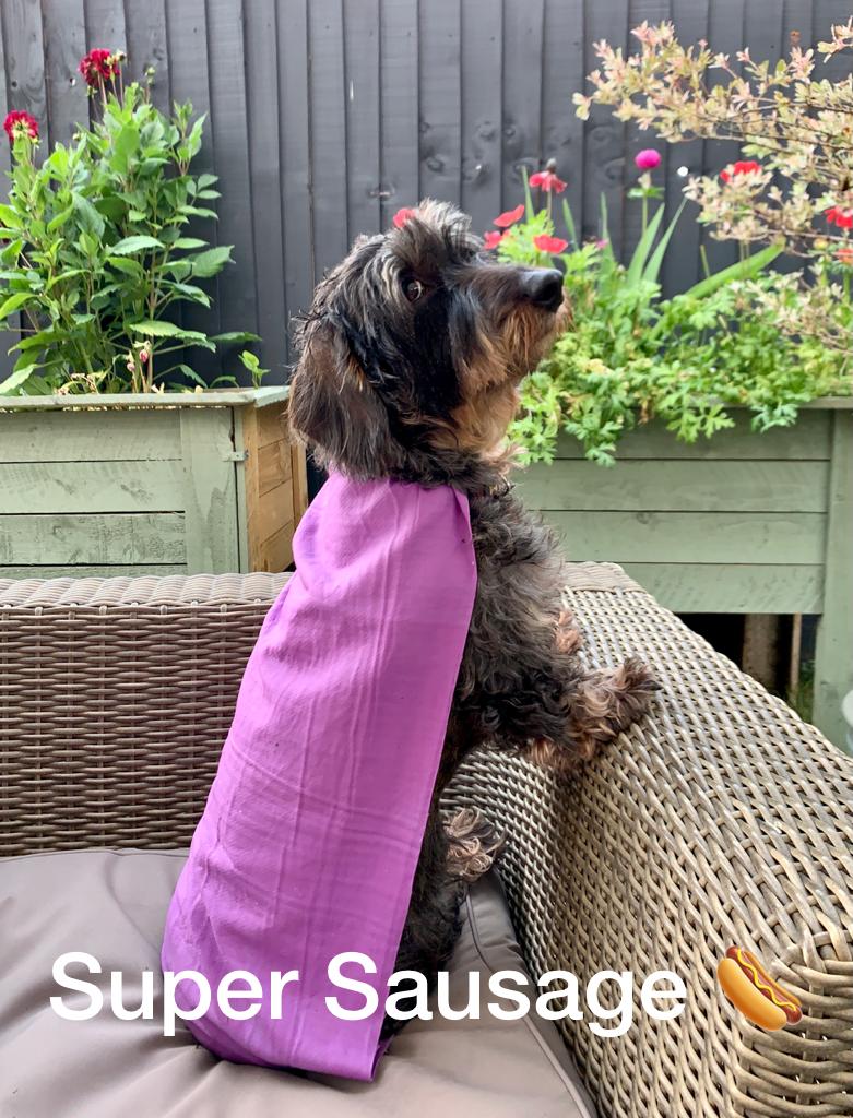 Super ‘cool’ Sausage