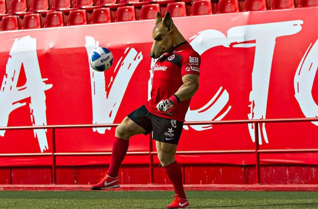 AlebrijesOaxaca's tweet photo. 🐶🎂| En este #DíaDelPerro le enviamos una felicitación a @xolo333 de @Xolos ; por ser la mascota más perrona de la @LigaBBVAMX 

#AlebrijesEsOaxaca💚🖤🧡 #Alebrijes🦗 https://t.co/Z63idTyUjN
