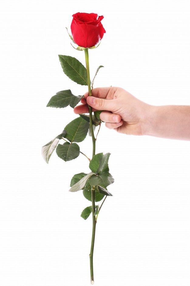 PathanGroup6's tweet image. For you all friends