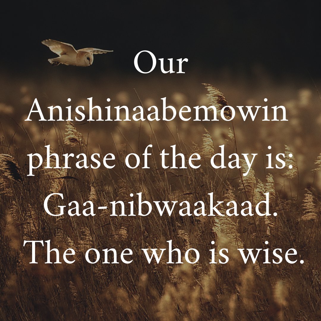 #Anishinaabemowin #Ojibwe