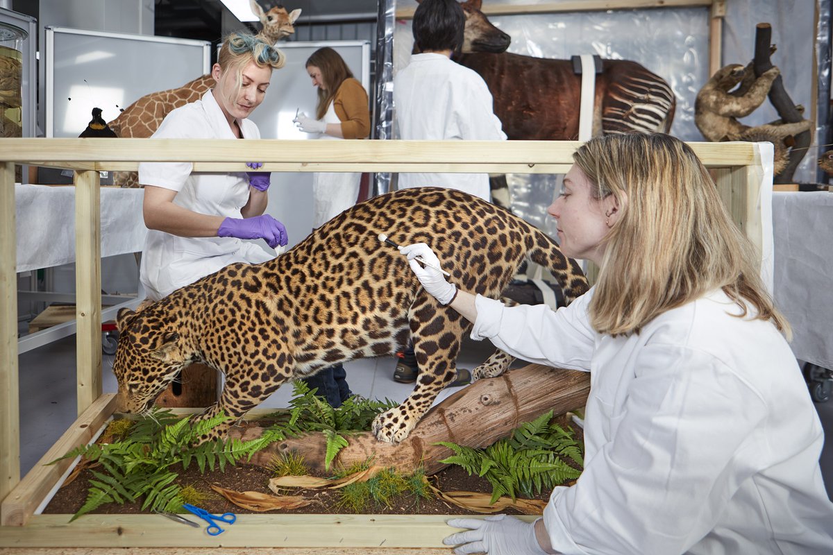 Great Exhibition Road Festival tweet media