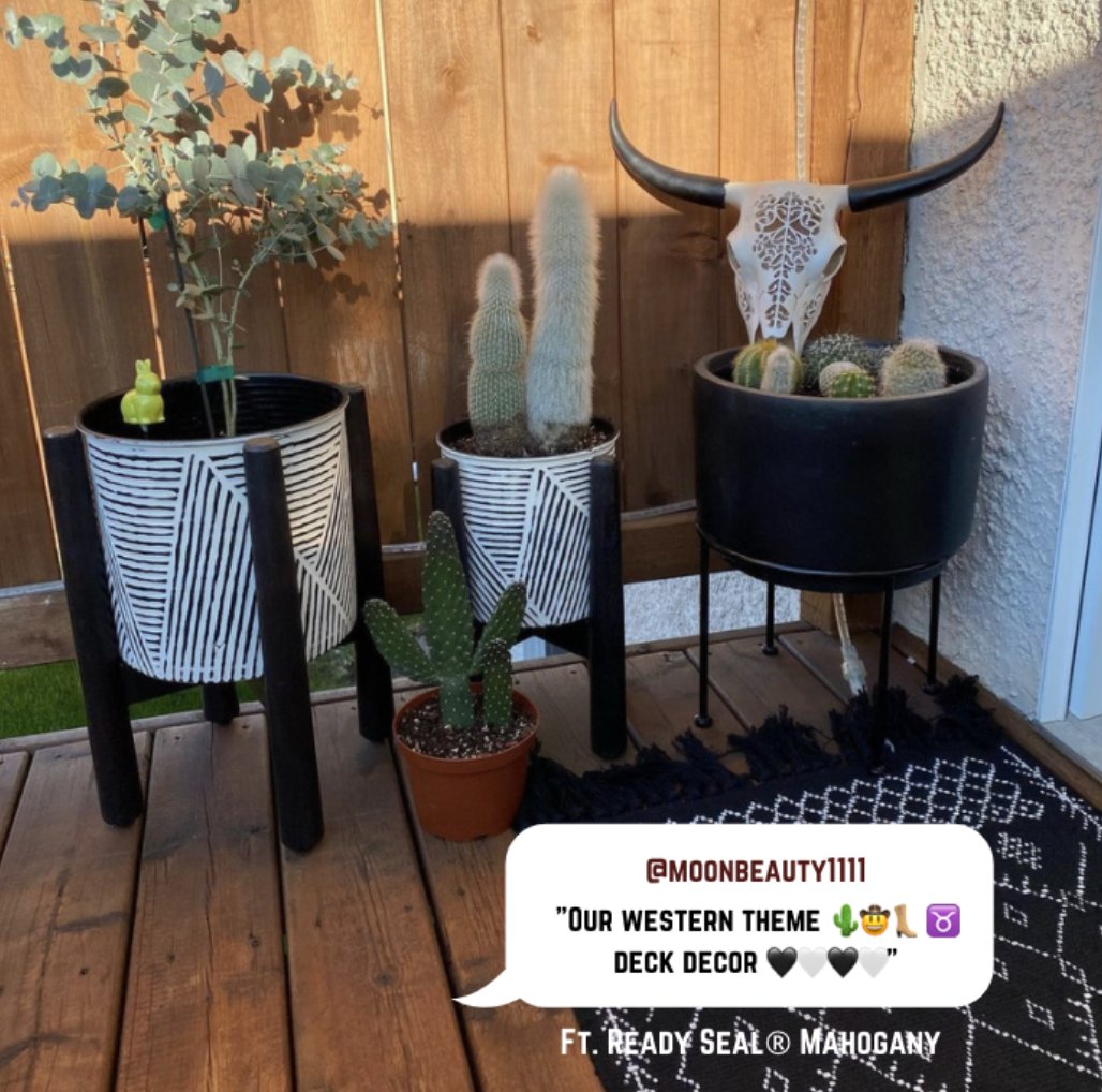 ReadySealinc's tweet photo. What takes a new space from “house” to “home”?
For us, it’s all about the details...
#deckdecor #bohowestern #bullskull #cactus #eucalyptus #lacostenursery #deskstain #homesensecanada #goofproof #bohorug #amazonhomedecor #readysealstain #mahogany https://t.co/4zQivQmjUC