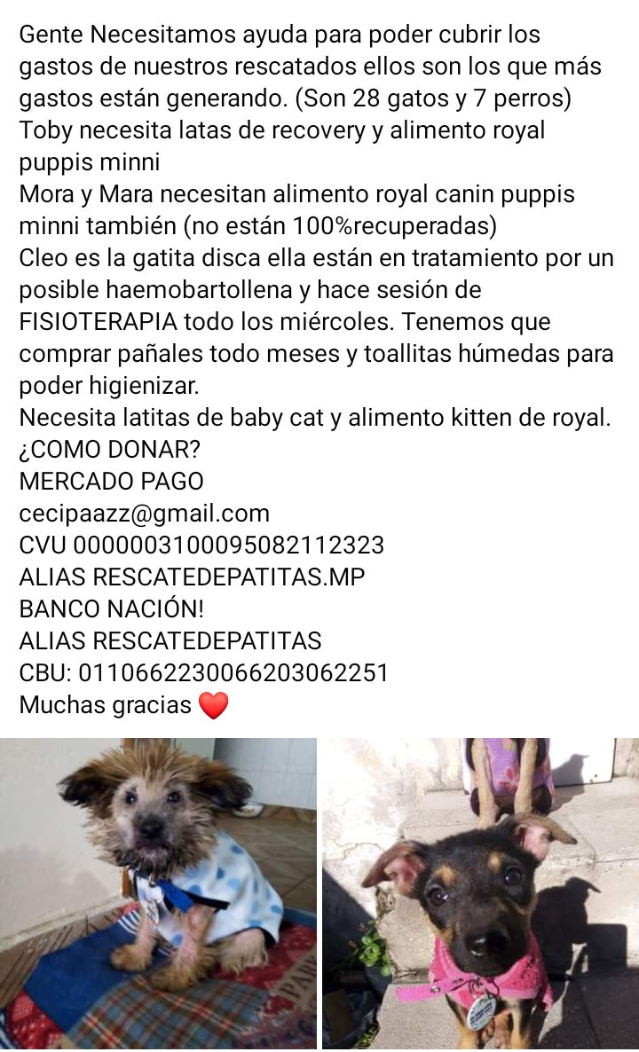 Retwittear por favor!!! 🙏🙏🙏 <a href="/andreadatri/">Andrea D'Atri</a> <a href="/AlejoLasa_PTS/">Alejo Lasa</a> <a href="/agustin_comas/">Agustín Comas</a> <a href="/_autochocador/">aug</a> <a href="/AngelaLeivaOk/">Angela Leiva</a> @storni_bot <a href="/bot_del_amor/">barthes el enamorado</a> <a href="/SbarraJose/">Bot José Sbarra</a> <a href="/BorgesJorgeL/">Borges, Jorge Luis</a> <a href="/corinafiorillo/">Corina Fiorillo</a> <a href="/claudiapineiro/">Claudia Piñeiro 💚 🧡</a> <a href="/cinthifernandez/">Cinthia Fernandez</a> <a href="/cazzuoficial/">Cazzu™</a> <a href="/pidoelsilencio/">camila mermet</a> <a href="/soyleomontero/">Leo Montero</a> <a href="/PocasPulgas_ok/">Pocas Pulgas</a>