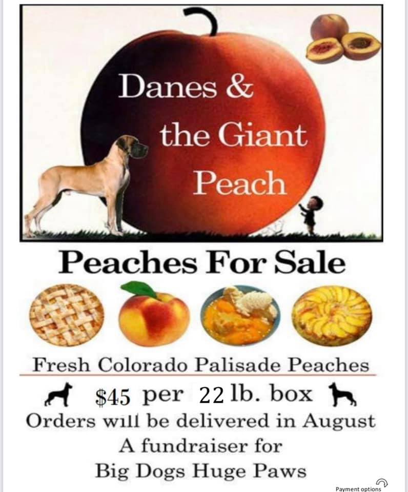 Studio54pilates's tweet photo. Do you love peaches? https://t.co/GwTKNEpBjG https://t.co/GzclLfJJ00