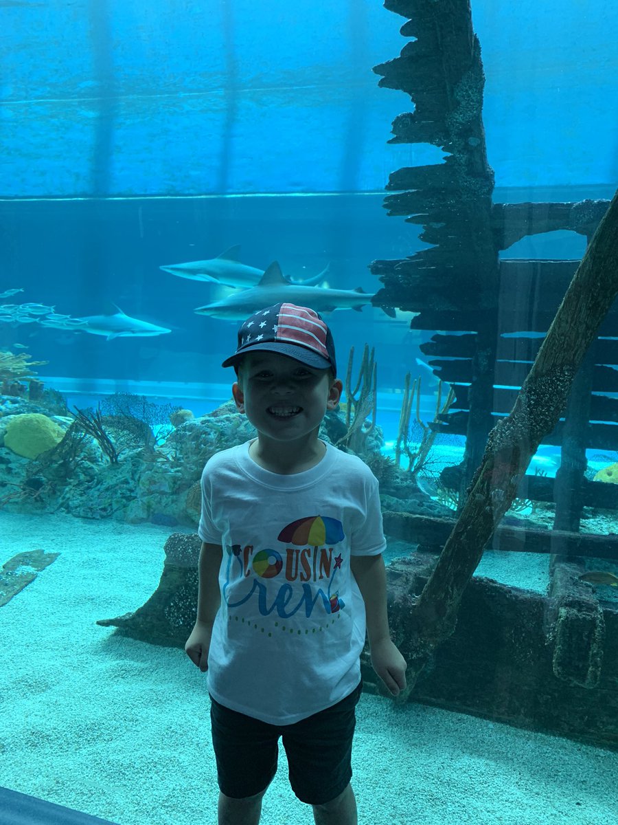 Brooke Teeter-Stocz, M. Ed. tweet media