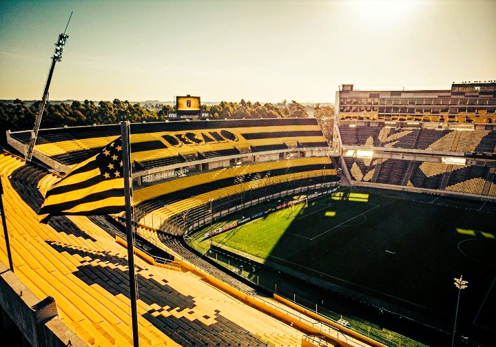 EshoyPeñarol tweet media