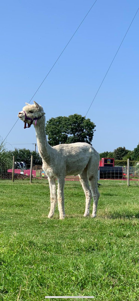 Rand Farm Park tweet media