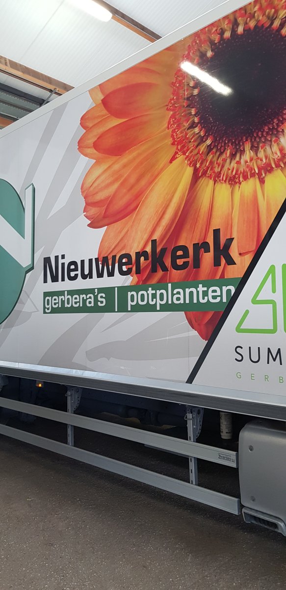 Vandaag zijn de eerste #gladiolen op de auto gegaan. #bloementeelt #Hijken