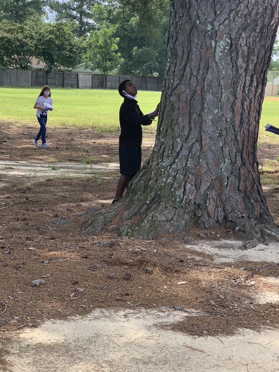 MrsHBoykin's tweet image. @CCSElemEd 3rd grade students are enjoying getting hands on observing trees around campus!  #ccsrise2021 #ccsscience @AlwaysScience1 @mstew007 @SHPurcell4