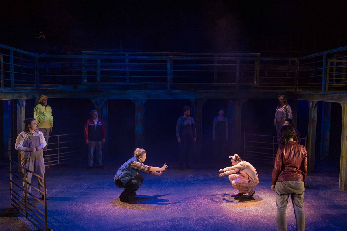 Alex Musgrave tweet media