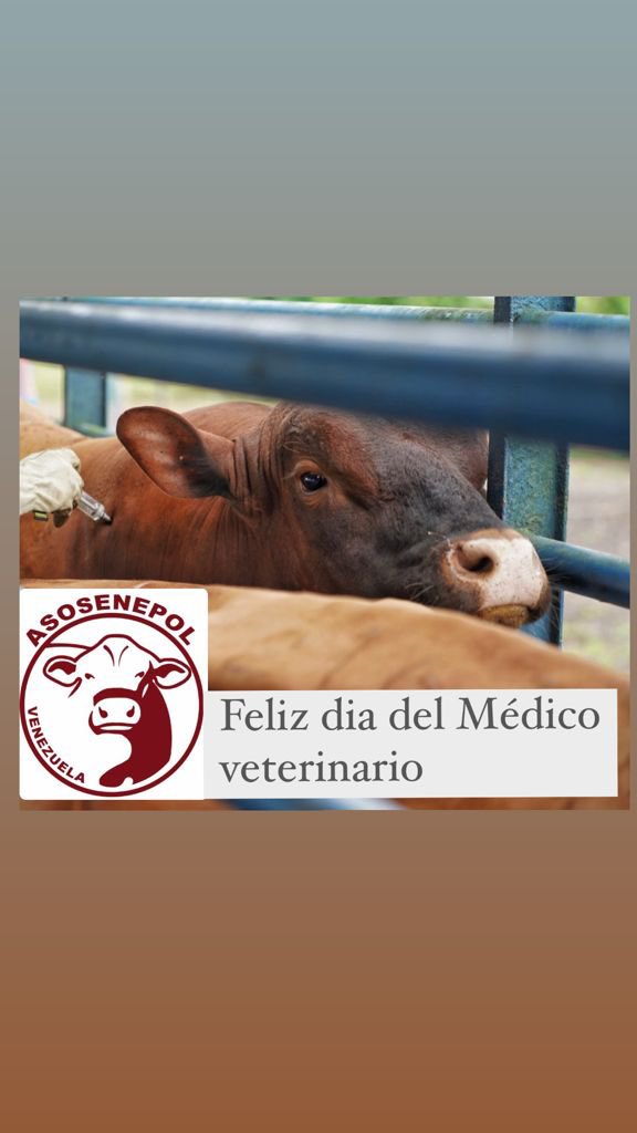 Felicidades a todos los veterinarios Venezolanos, aliados no solo en nuestras faenas ganaderas, sino garantes de la salud y bienestar animal y humano.
#UnaSolaSalud 
#FelizDíaDelVeterinario