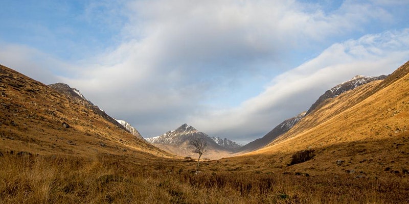 UofGArtsHums's tweet photo. Tour the Isle of Arran’s artistic legacy through a series of talks recorded at the launch of the @ArranArts Heritage Trail, with contributions from several @UofGArts colleagues, students and partners.

https://t.co/UFGNDV9P4U

@ArranArts @SWARNetwork @PaisleyMuseum https://t.co/8WmRDY61pF