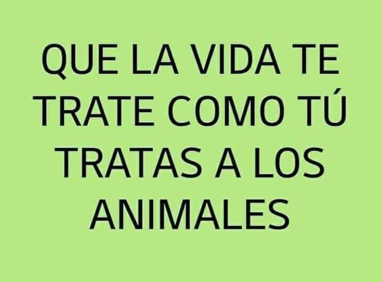 titina_q's tweet image. Ni más ni menos...