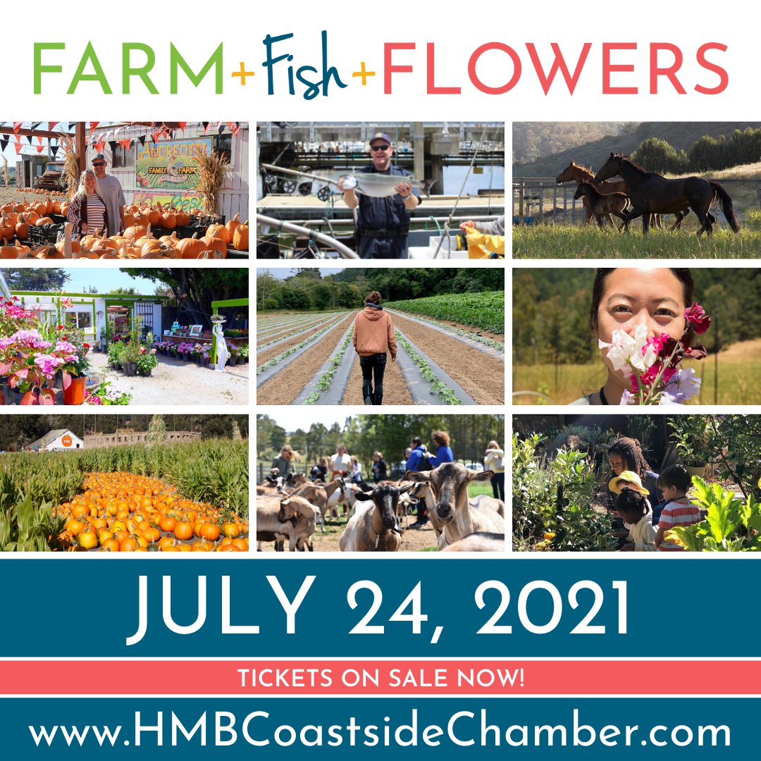 hmbcoastchamber's tweet photo. New this year is a single-stop tour ticket! Have one particular location you're super interested in learning about? Get a ticket and join us for just that one! We'll love spending that time with you! #Farms #Fish #Flowers #Tours #HMBCoastside https://t.co/kl1icDsVDs