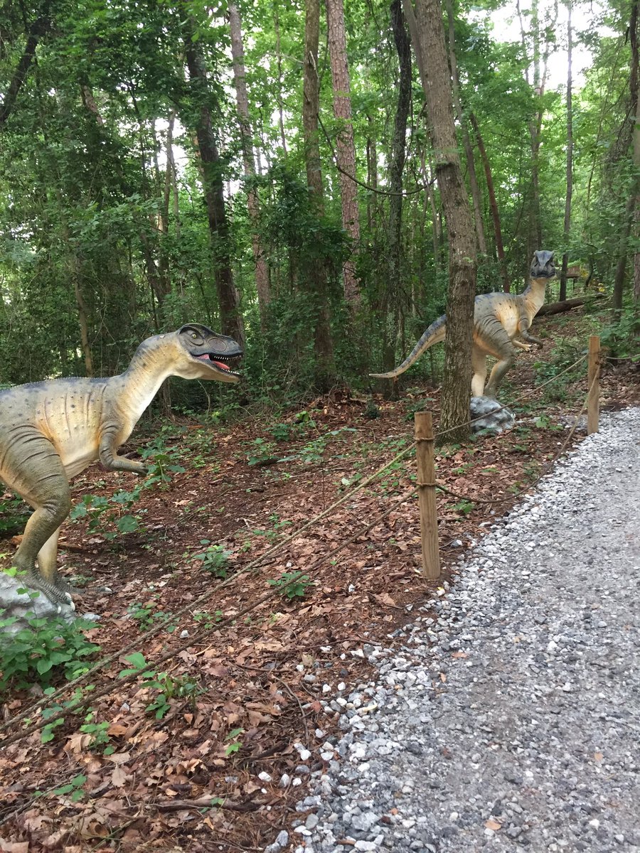 hollyastuart's tweet image. While waiting for class to start today, I explored @RoperMountain’s Dinosaur Trail. Perfect temp, birds chirping - I felt like I was transported back to the Mesozoic Era!

#stuartscience