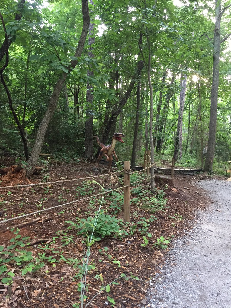 hollyastuart's tweet image. While waiting for class to start today, I explored @RoperMountain’s Dinosaur Trail. Perfect temp, birds chirping - I felt like I was transported back to the Mesozoic Era!

#stuartscience