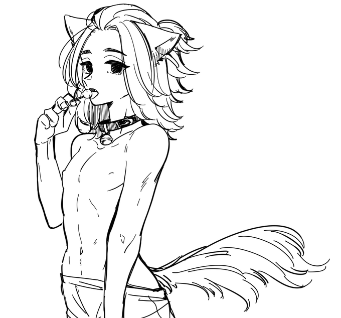 🐈マ 