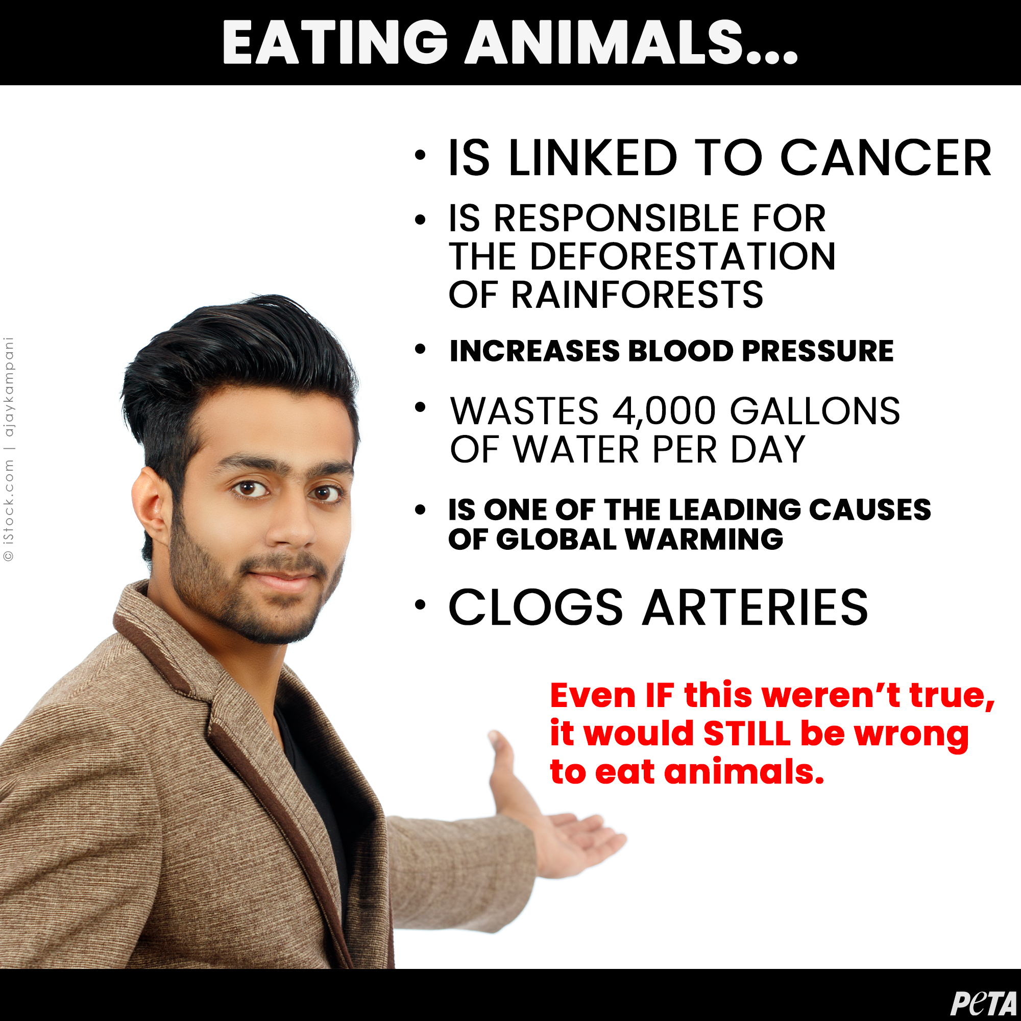 PETA on Twitter: PETA on Twitter: