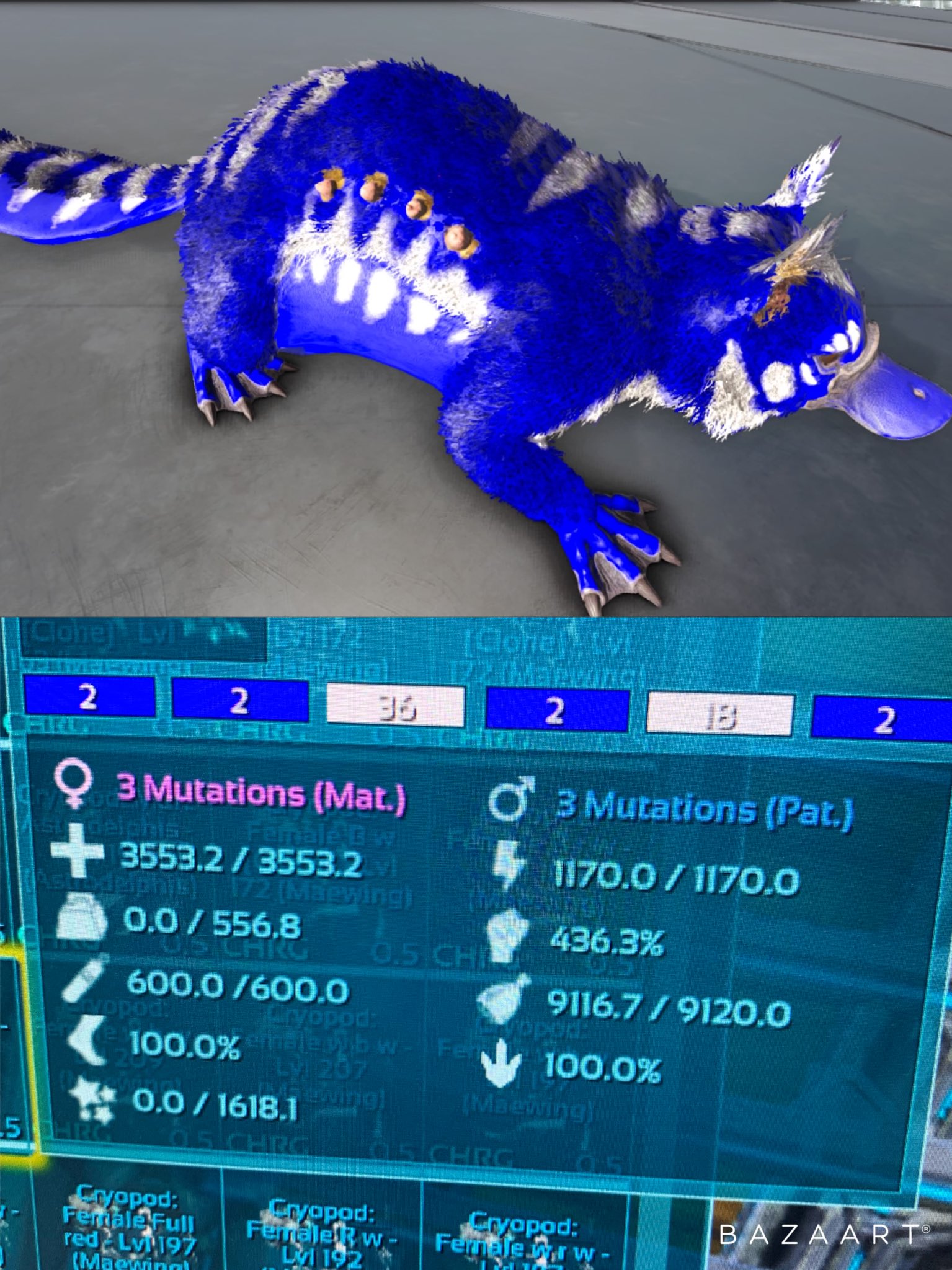Ps4 5 公式pve Ark 恐竜 販売 No Twitter Ark Ps4 公式pve メイウィング イベントカラー 画像のイベントカラー確定卵ご対応します 背中に36番アルビノホワイト入りです Ark Ps4pve メイウィング T Co 8mgmiu1qlw Twitter